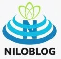 تربیت دینی